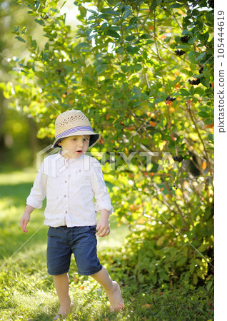 Cute baby runs around the garden on a hot summer day Cute baby runs around the garden on a hot summer day 105444619
