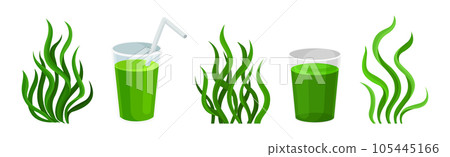 Spirulina Organic Superfood Products Vector Set Spirulina Organic Superfood Products Vector Set 105445166