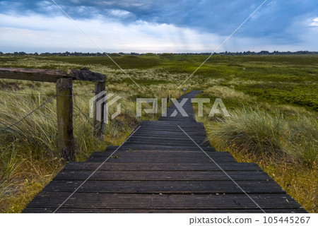 Rainy day landscape on Sylt island, Germany 105445267