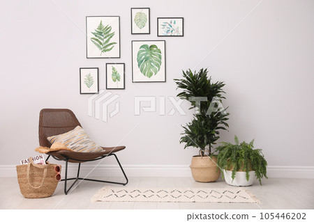 Beautiful paintings of tropical leaves on white wall in living room interior 105446202