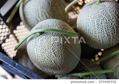 melon 105446356