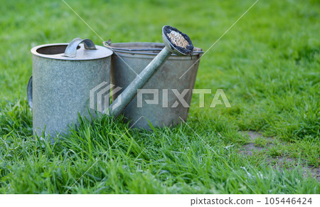 old metal watering can and a bucket stand on the grass in summer old metal watering can and a bucket stand on the grass in summer 105446424