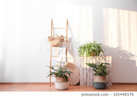 Beautiful plants in wicker pots near white wall indoors. Interior design idea 105446576