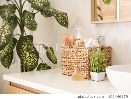 Green plants and toiletries on white countertop in bathroom. Interior design 105446579