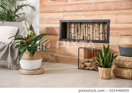 Stylish interior design with beautiful plants in pots 105446609