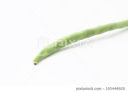 Green bean white back 105446920