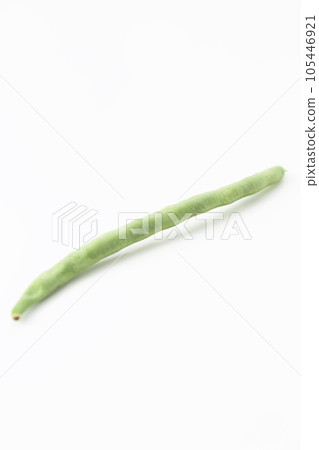 白豆白背 105446921