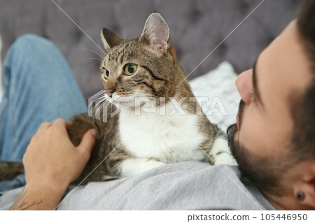 Man with cat on bed at home, closeup. Friendly pet Man with cat on bed at home, closeup. Friendly pet 105446950