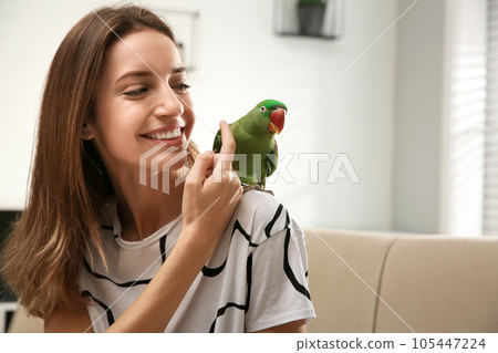Young woman with cute Alexandrine parakeet indoors 105447224