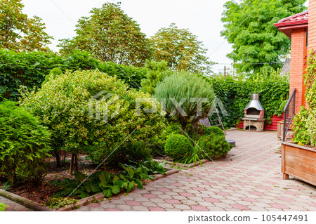shrubs and dwarf trees in the landscape design of the yard. shrubs and dwarf trees in the landscape design of the yard. 105447491