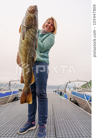 Happy Fisherwoman holding big arctic cod. Norway happy fishing. Woman with cod fish in hands Happy Fisherwoman holding big arctic cod. Norway happy fishing. Woman with cod fish in hands 105447809