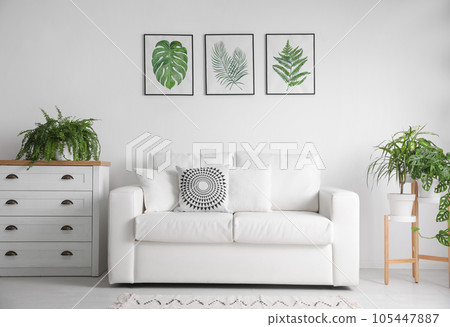 Beautiful paintings of tropical leaves over sofa in living room interior 105447887