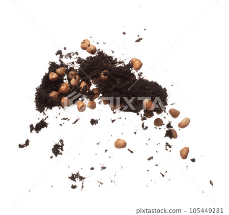 Soil dirt peanut bean mix fall fly explosion. Peanut bean soil fertilizer abstract cloud fly. Soil mix peanut beans planting splash stop in air. white background isolated high speed freeze motion Soil dirt peanut bean mix fall fly explosion. Peanut bean soil fertilizer abstract cloud fly. Soil mix peanut beans planting splash stop in air. white background isolated high speed freeze motion 105449281