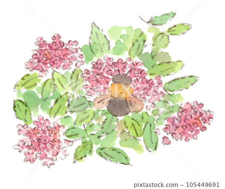 A watercolor illustration of a June-July plant, a pink meadowsweet flower and a bee collecting nectar as if holding a flower cluster 105449691