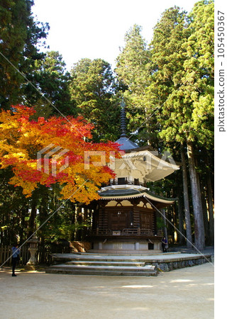 六角共同堂 105450367