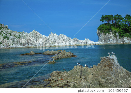 夏季三陸海岸 夏季三陸海岸 105450467