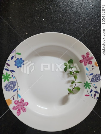 Refreshing Delight: Mint Leaves Arranged on an Empty White Plate against a Black Background 105452072