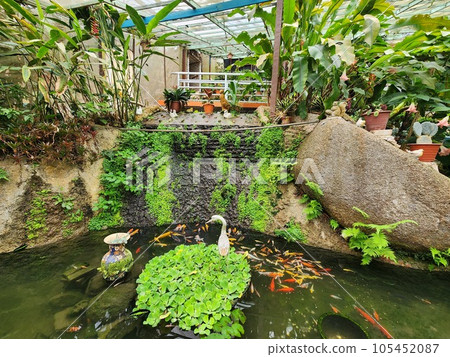 Discover the Mini Lake Finish and Various Plants in Garden 105452087