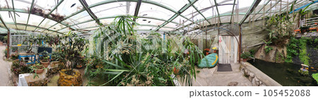 Panorama Greenhouse: Where Plants and Butterflies Flourish 105452088
