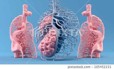 3D illustration of the human organ systems, Human internal organs. Anatomy. Nervous, circulatory, digestive, excretory, urinary,and bone systems. Medical education concept, Generative AI illustration 105452231