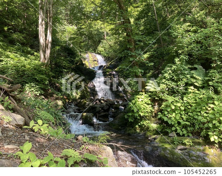 白色瀑布“白瀧” 白色瀑布“白瀧” 105452265