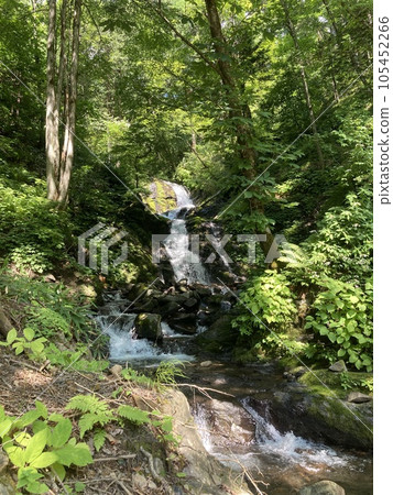 White Waterfall "Shirataki" White Waterfall "Shirataki" 105452266