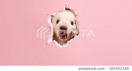 Cute Bear peekging out of a hole in wall, torn hole, empty copy space frame, mockup. Generative AI weber. 105452340