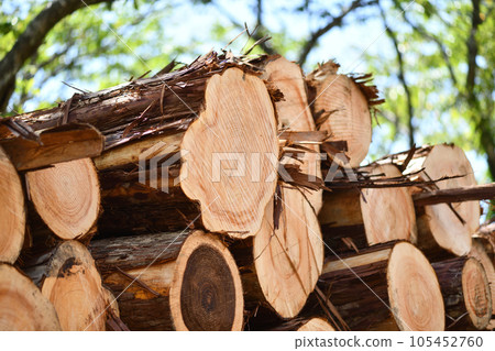 夏天變薄 夏天變薄 105452760