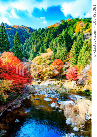Blue sky, autumn leaves and mountain stream | Vertical composition 105453061