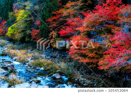 紅葉與溪流｜奧津溪谷 105453064