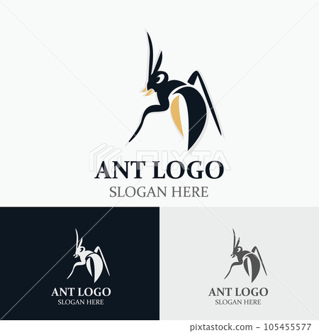 Ant logo design silhouette. Isolated animal ants on background design Ant logo design silhouette. Isolated animal ants on background design 105455577