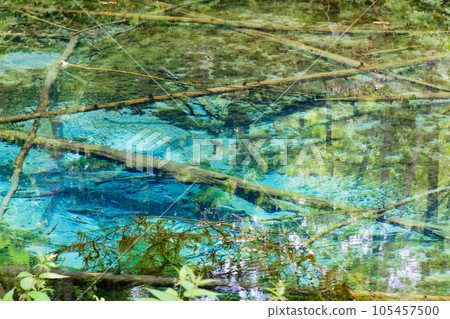 Mysterious god's pond 105457500