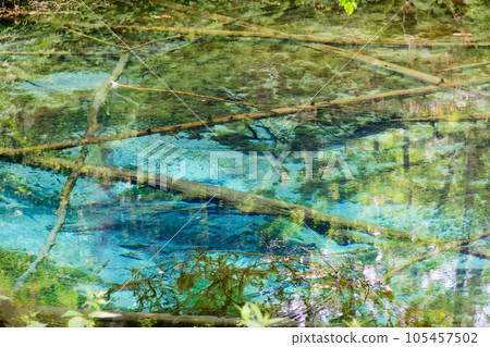 Mysterious god's pond 105457502