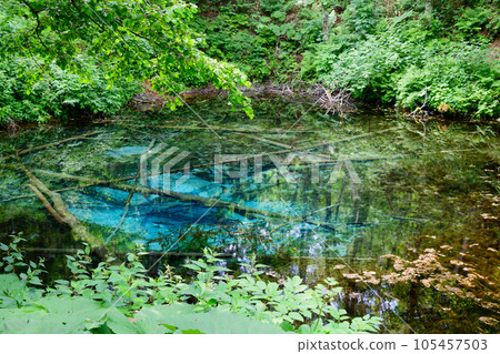 Mysterious god's pond Mysterious god's pond 105457503
