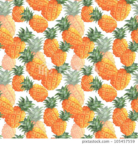Pineapples seamless pattern, hand painted watercolor fruits on white 105457559