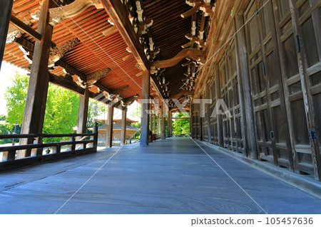 [Toyama Prefecture] The huge main hall of Shokoji Temple in sunny weather (National Treasure) 105457636
