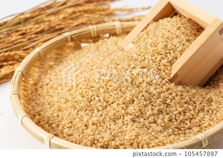 糙米 糙米 105457897