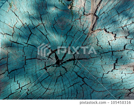 Old tree stump. Old tree stump. 105458316