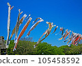 Blue sky and carp streamers 105458592