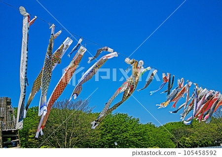 Blue sky and carp streamers 105458592