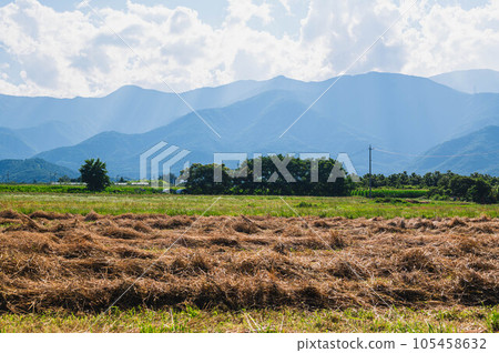 Summer Azumino landscape with pastures 105458632