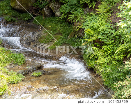 The babbling of the river. The babbling of the river. 105458769