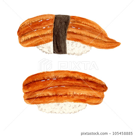 hand drawn watercolor conger eel sushi illustration hand drawn watercolor conger eel sushi illustration 105458885