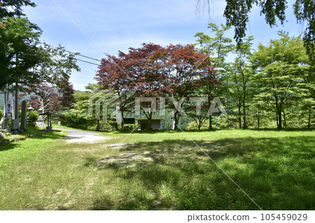 愛知縣豐田市 武藏城本丸遺址 愛知縣豐田市 武藏城本丸遺址 105459029