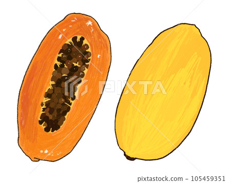 切木瓜的插圖 切木瓜的插圖 105459351