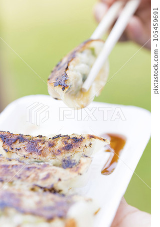Woman hand eating freshly baked gyoza outdoors Woman hand eating freshly baked gyoza outdoors 105459691