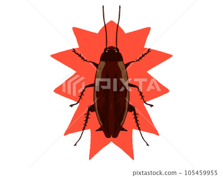 Illustration of a cockroach 105459955