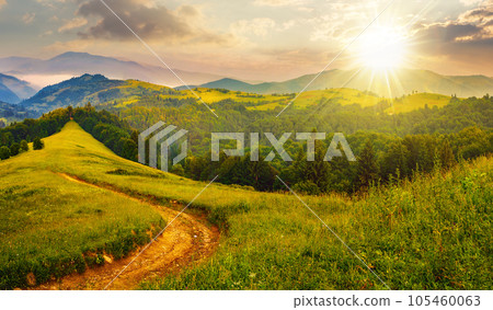 rural landscape with empty dirt road to coniferous forest through the grassy hillside meadow at sunset. high mountain range in the distance. beautiful countryside scenery in evening light rural landscape with empty dirt road to coniferous forest through the grassy hillside meadow at sunset. high mountain range in the distance. beautiful countryside scenery in evening light 105460063