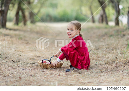 Child picking apples on farm in autumn. girl lying on ground near basket with pears and apples. Healthy nutrition. Harvest Concept. Child picking apples on farm in autumn. girl lying on ground near basket with pears and apples. Healthy nutrition. Harvest Concept. 105460207
