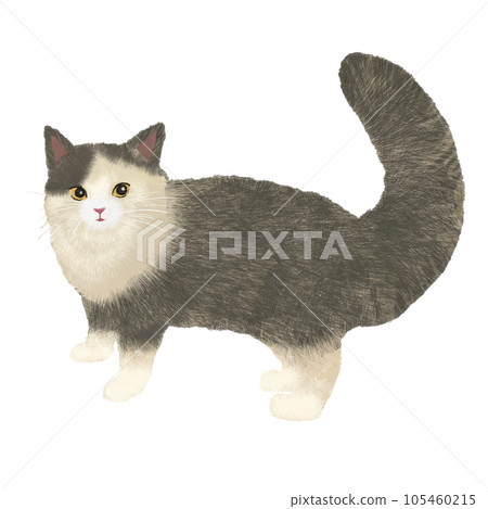 A cat here 105460215